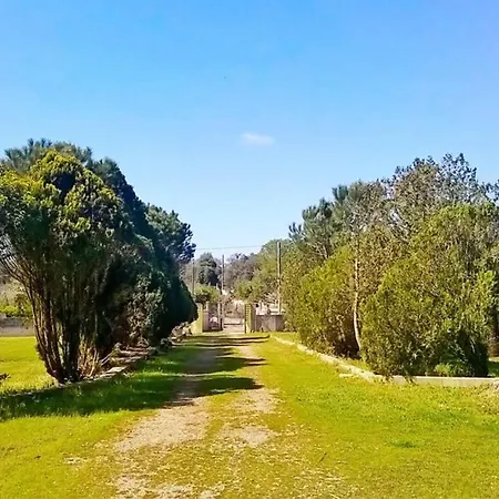 Villa Immersa Nel