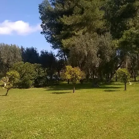 Villa Immersa Nel *