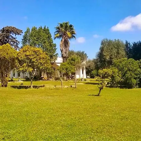 Immersa Nel